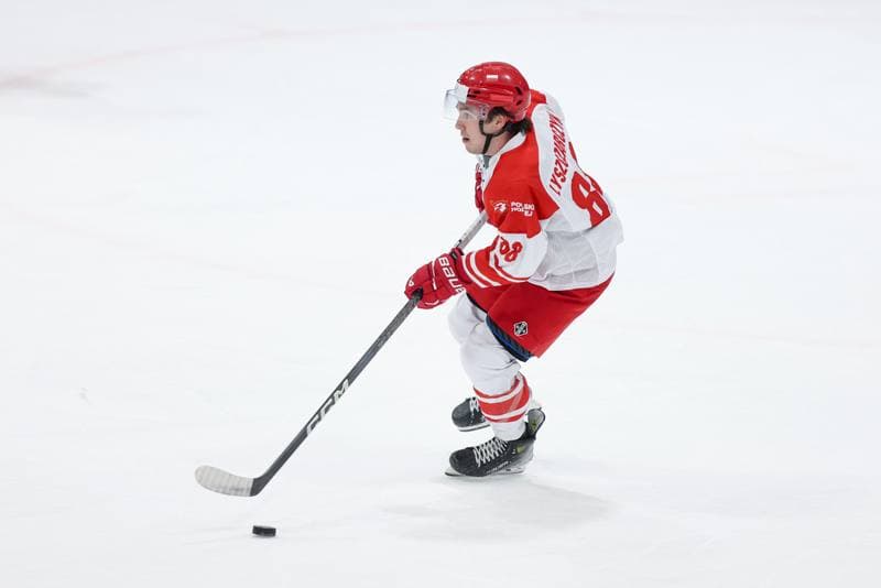 Ice Hockey. Friendly Match. Poland - Slovenia. 19.04.2024
