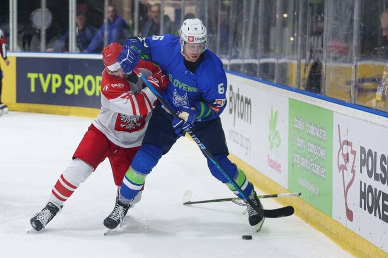 Ice Hockey. Friendly Match. Poland - Slovenia. 19.04.2024