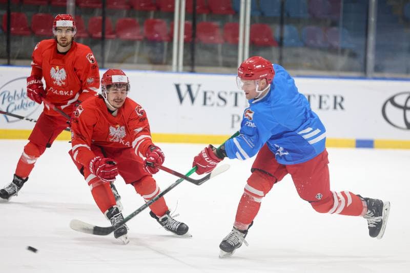Ice Hockey. Poland national team. Training. 22.04.2024