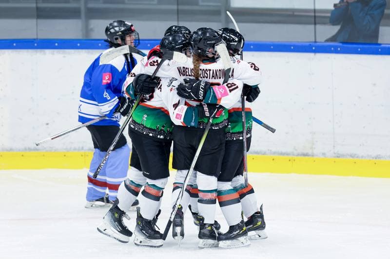 Ice Hockey. Tauron Liga. Kojotki Naprzod Janow - Stoczniowiec Gdansk. 24.02.2024