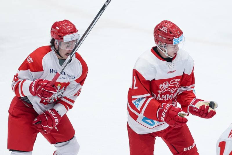 Ice Hockey. Friendly Match. Poland - Denmark. 07.05.2024