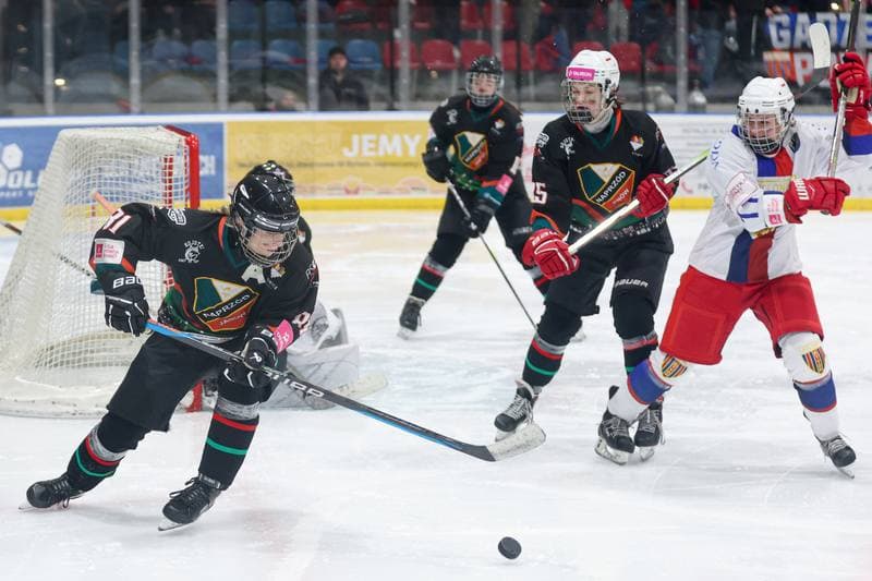 Ice Hockey. Tauron Liga Kobiet. BS Polonia Bytom - Kojotki Naprzod Janow. 16.03.2024