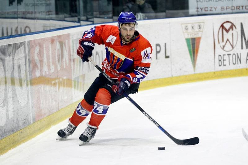 Ice Hockey. Polska Hokej Liga. GKS Tychy - Tempish Polonia Bytom. 22.01.2017