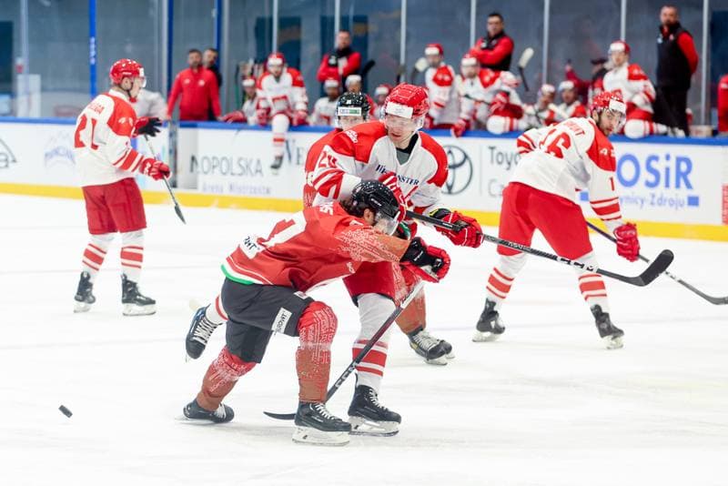 Ice Hockey. Friendly Match. Poland - Hungary. 12.04.2024