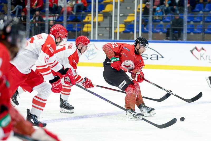 Ice Hockey. Friendly Match. Poland - Hungary. 13.04.2024