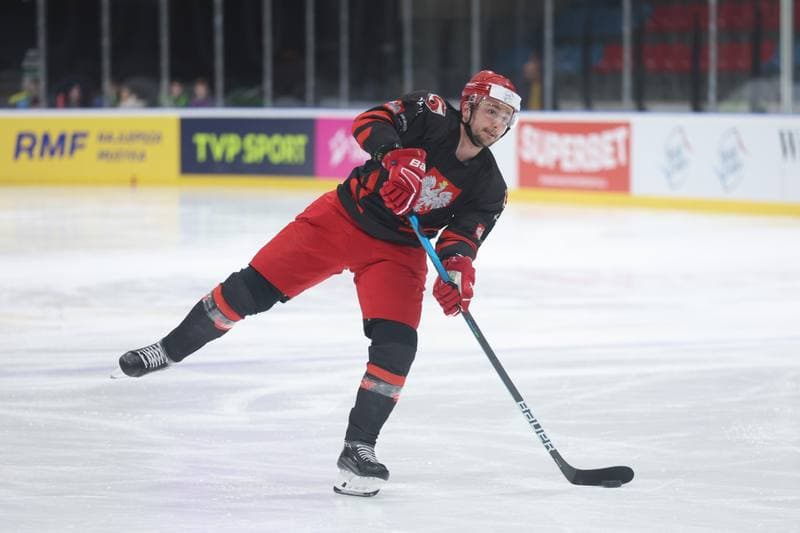 Ice Hockey. Poland national team. Training. 17.04.2024