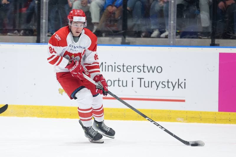 Ice Hockey. Friendly Match. Poland - Slovenia. 19.04.2024