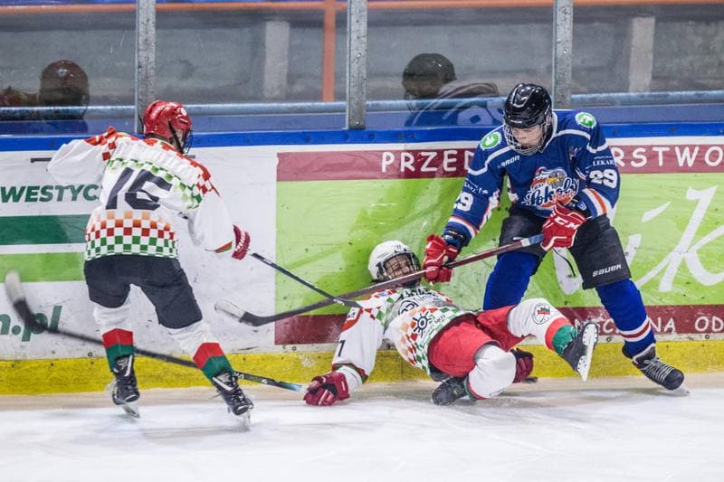 Ice Hockey. MHL. UKH Zaglebie Sosnowiec - Sokoly Torun. 08.01.2022