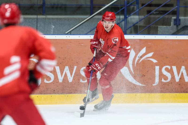 Ice Hockey. Poland national team. Training. 03.11.2024