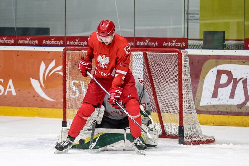 Ice Hockey. Poland national team. Training. 03.11.2024