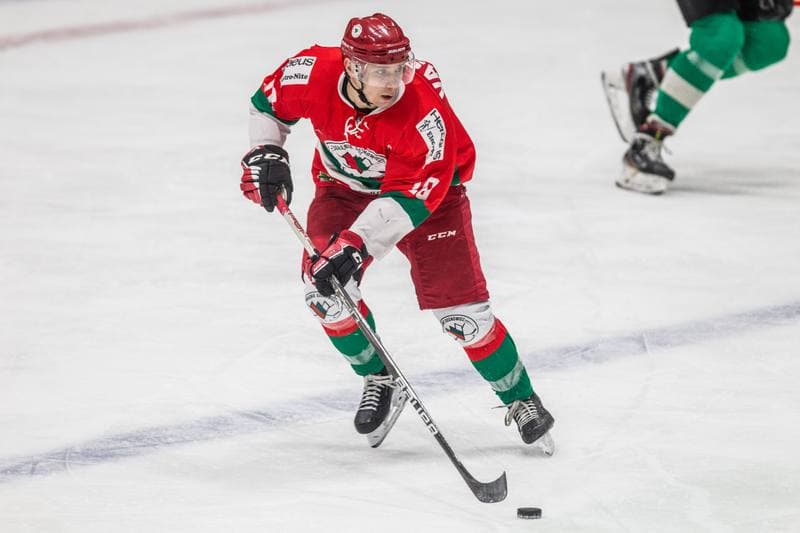 Ice Hockey. PHL. JKH GKS Jastrzebie - Zaglebie Sosnowiec. 13.02.2022