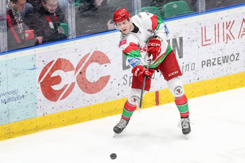 Ice Hockey. Tauron Hokej Liga. EC Bedzin Zaglebie Sosnowiec - KH Energa Torun. 19.01.2025