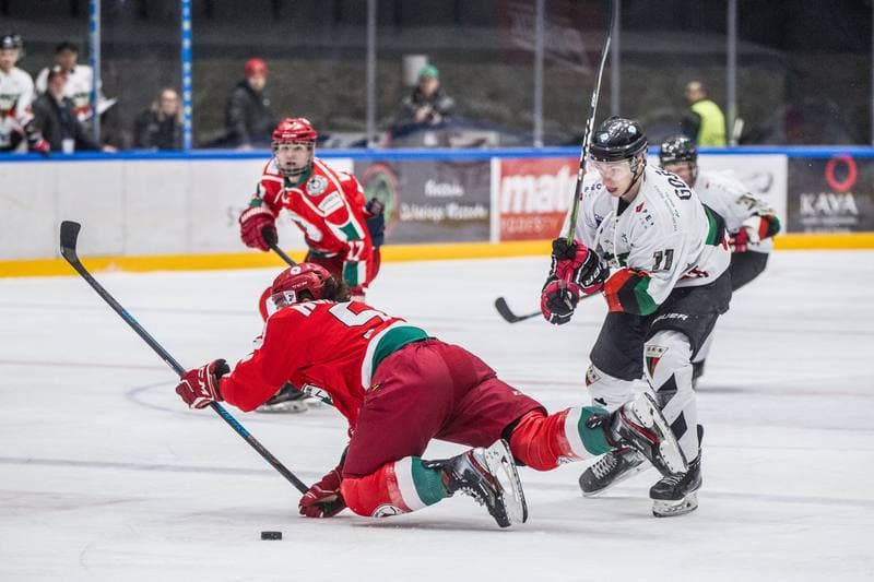 Ice Hockey. PHL. GKS Tychy - Zaglebie Sosnowiec. 17.01.2020