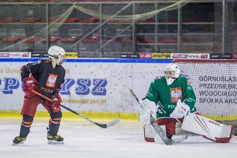 Ice Hockey. Poland national team. Training. 31.03.2022
