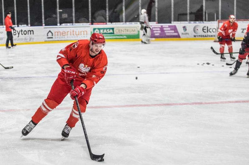 Ice Hockey. Poland national team. Training. 18.04.2022