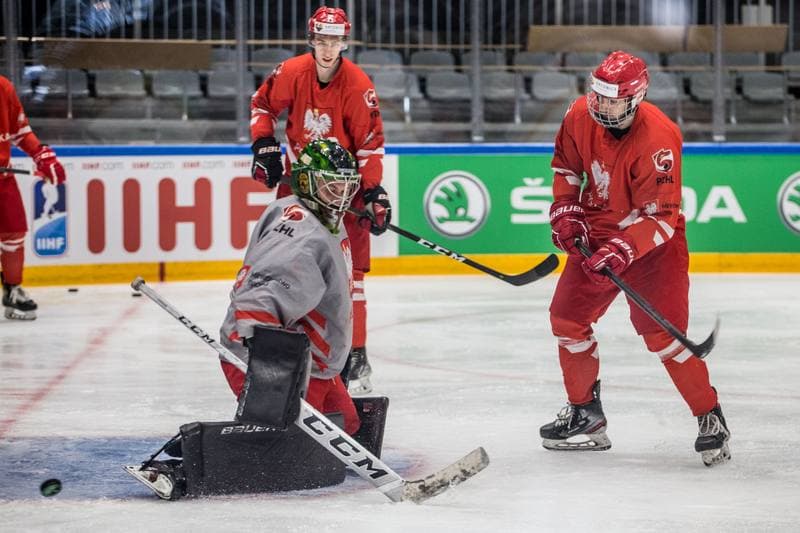 Ice Hockey. Poland national team. Training. 24.04.2022