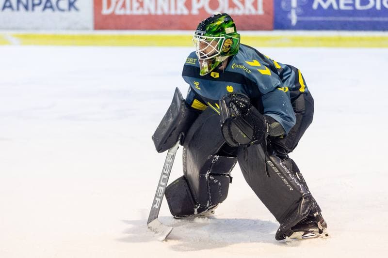 Ice Hockey. PHL. Comarch Cracovia - GKS Katowice. 22.11.2022