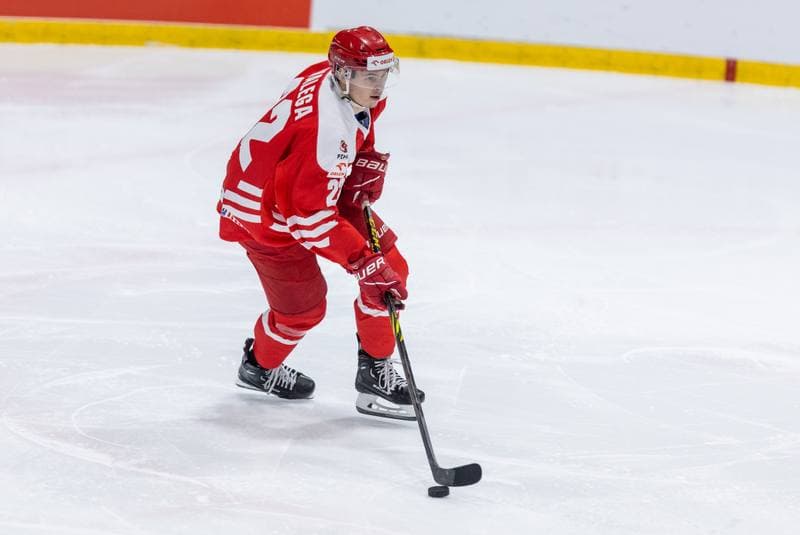 Ice Hockey. Friendly Match. Poland - Hungary. 21.04.2023