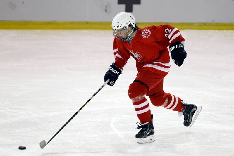 Ice Hockey. U18 Women's World Championship. Poland - Great Britain. 11.01.2017