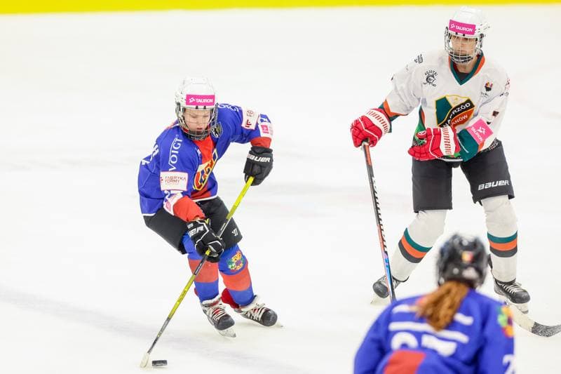 Ice Hockey. Tauron Liga Kobiet. Kojotki Naprzod Janow - SMS Polonia Bytom. 09.09.2023