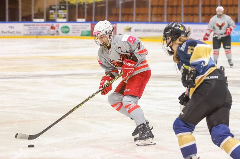 Ice Hockey. EWHL. TAURON Metropolia Silesia - KSV Neuberg Highlanders. 30.09.2023