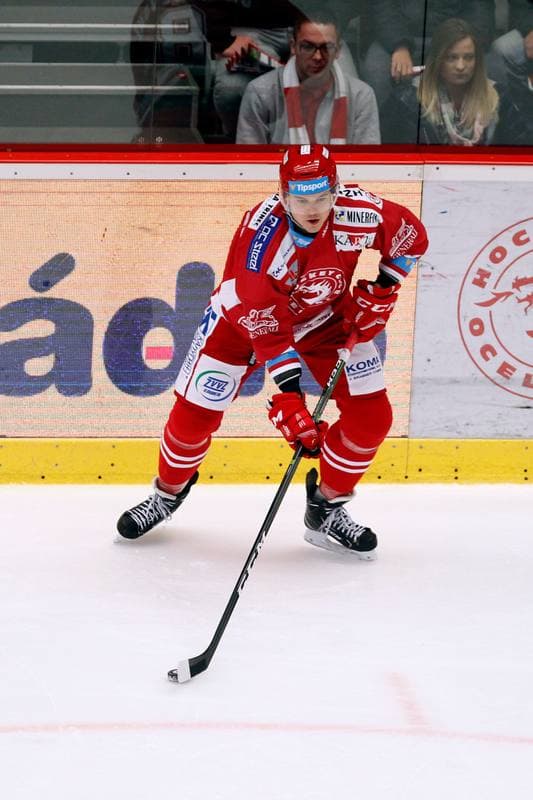 Ice Hockey. Tipsport Extraliga. Ocelari Trinec - Bili Tygri Liberec. 22.12.2017
