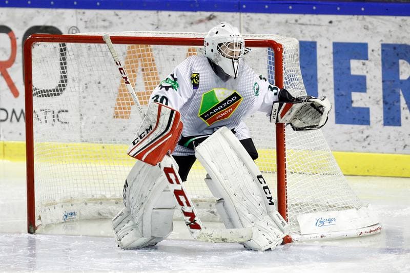 Ice Hockey. PLHK. Naprzod Janow - Polonia Bytom. 18.01.2018