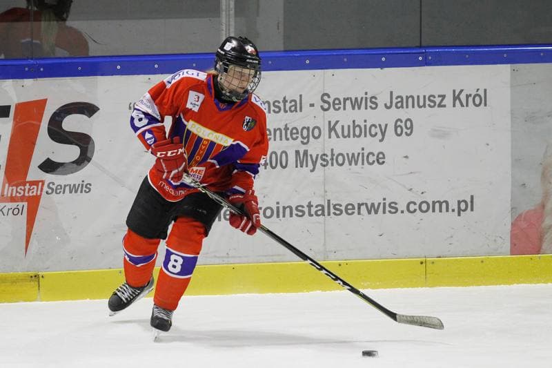 Ice Hockey. PLHK. Naprzod Janow - Polonia Bytom. 18.01.2018