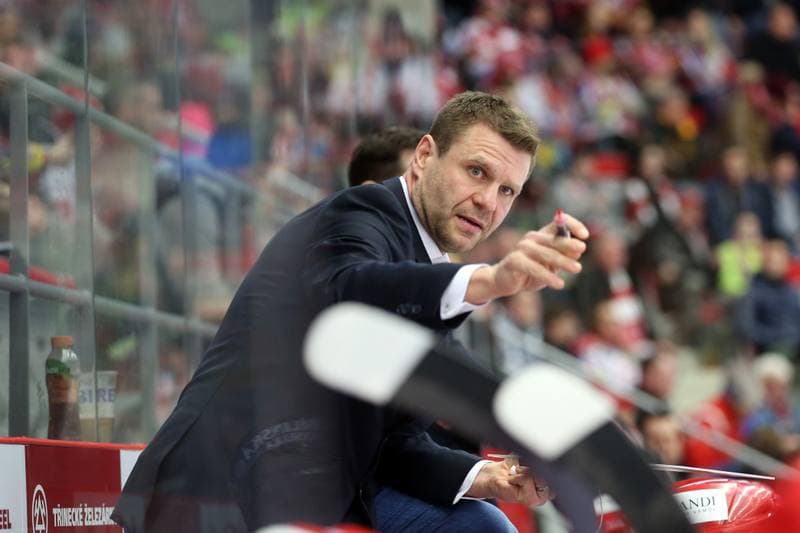 Ice Hockey. Tipsport Extraliga. Ocelari Trinec - HC Verva Litvinov. 06.01.2019