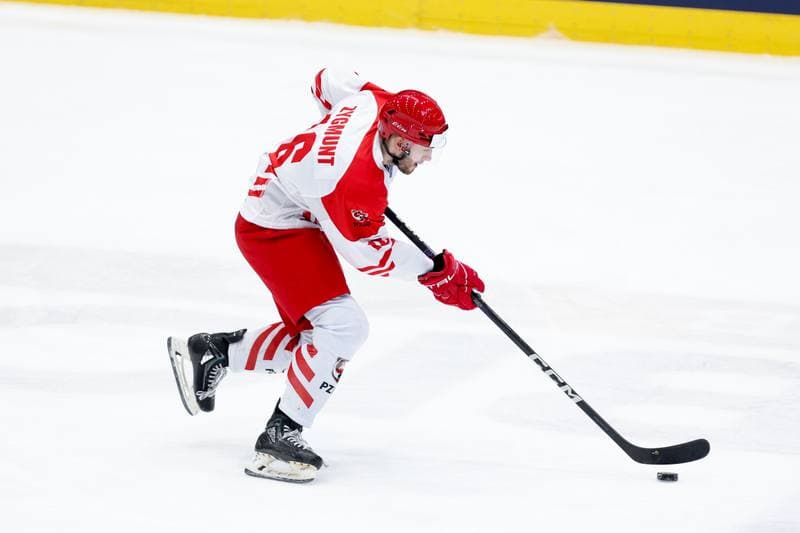 Ice Hockey. Olympic Qualification. Poland - Estonia. 08.02.2024