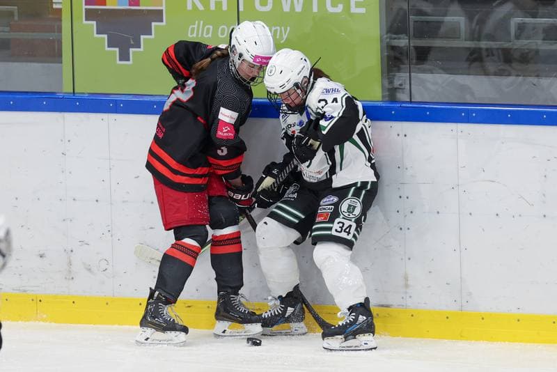 Ice Hockey. EWHL. Tauron Metropolia Silesia - EC Graz Huskies. 02.03.2024