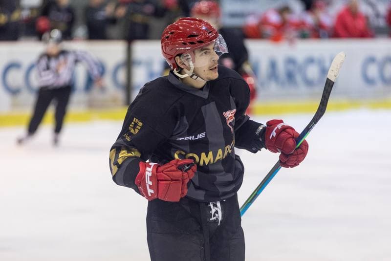 Ice Hockey. PHL. Comarch Cracovia - Zaglebie Sosnowiec. 02.11.2022