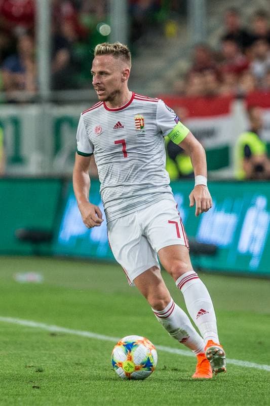 Football. Euro 2020 Qualifiers. Hungary - Wales. 11.06.2019