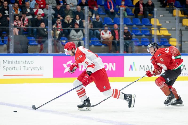 Ice Hockey. Friendly Match. Poland - Hungary. 12.04.2024