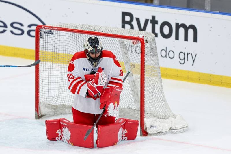 Ice Hockey. Friendly Match. Poland - Slovenia. 19.04.2024