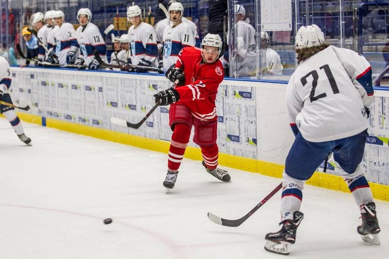 Ice Hockey. Friendly Match. Poland U20 - HK Nitra. 16.08.2019