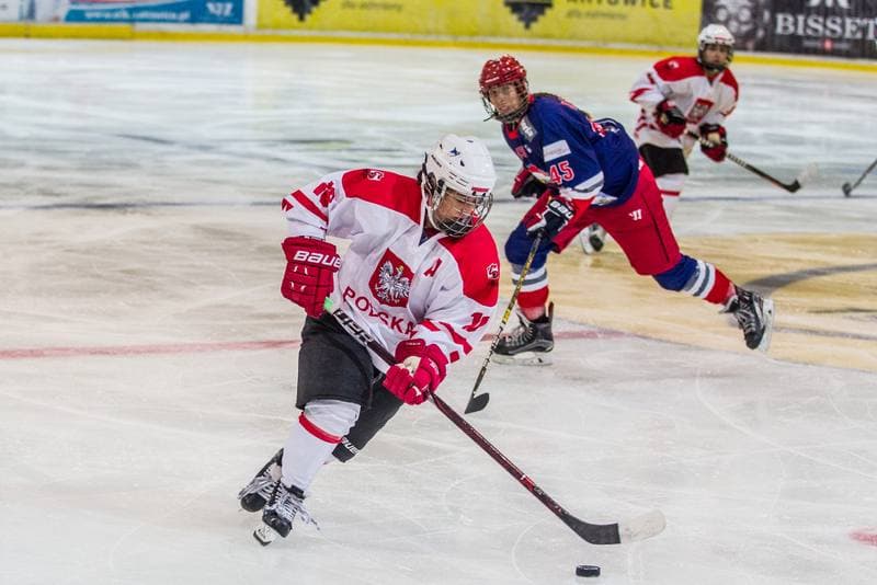 Ice Hockey. EWHL. Silesia Brackens - EVB Eagles. 29.09.2019