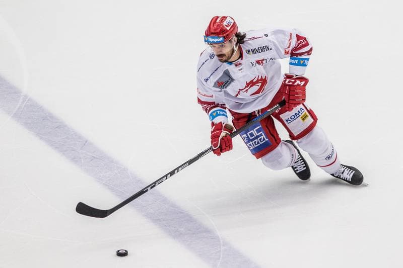 Ice Hockey. Tipsport Extraliga. Ocelari Trinec - Vitkovice Ridera. 21.11.2019
