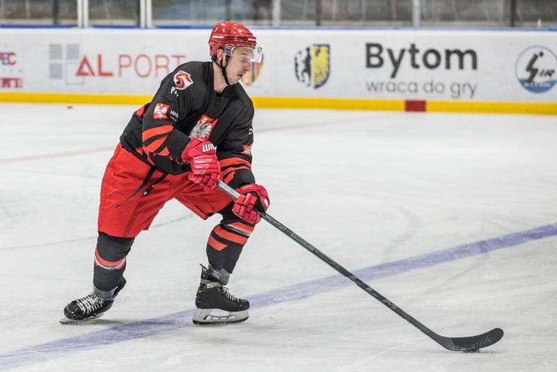 Ice Hockey. Poland national team. Training. 18.04.2022