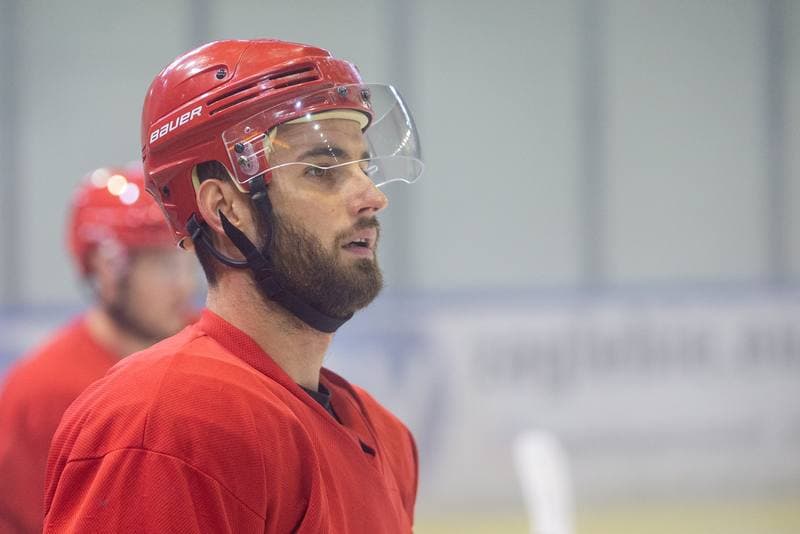 Ice Hockey. Zaglebie Sosnowiec. Training. 02.08.2022