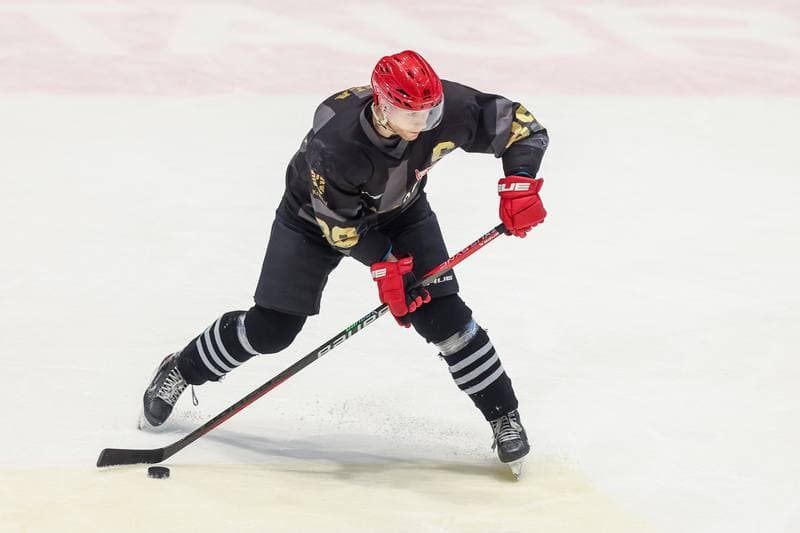 Ice Hockey. Tauron PHL. Tauron Re-Plast Unia Oswiecim - Comarch Cracovia. 29.03.2023