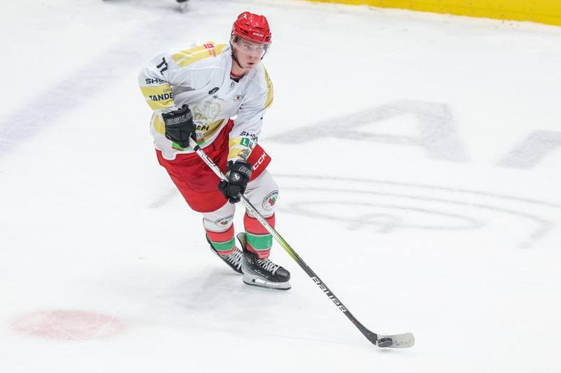 Ice Hockey. Tauron Hokej Liga. Zaglebie Sosnowiec - GKS Tychy. 20.12.2023
