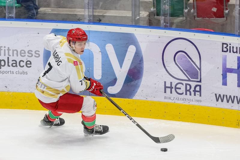 Ice Hockey. Tauron Hokej Liga. Zaglebie Sosnowiec - Re-Plast Unia Oswiecim. 22.12.2023