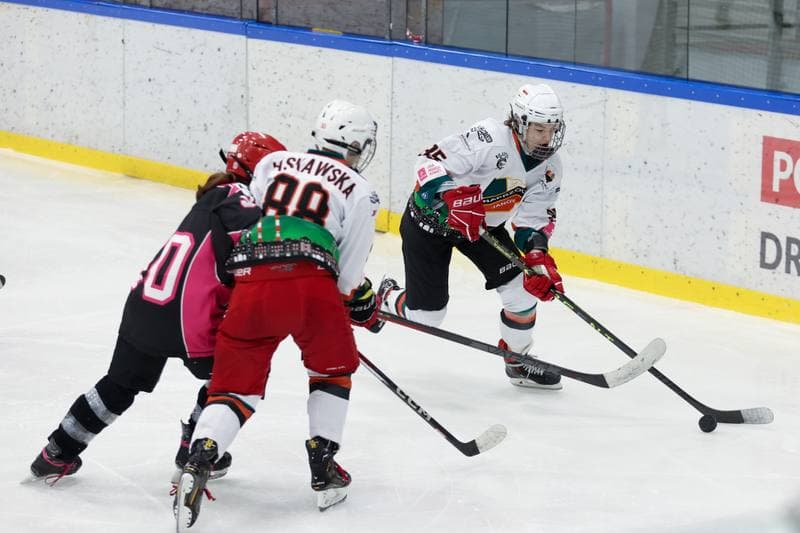 Ice Hockey. Tauron Liga Hokeja Kobiet. Kojotki Naprzod Janow - Kozice Poznan. 20.01.2024