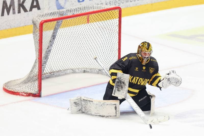 Ice Hockey. Tauron Hokej Liga. Re-Plast Unia Oswiecim - GKS Katowice. 01.02.2024