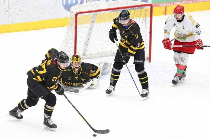 Ice Hockey. Tauron Hokej Liga. Zaglebie Sosnowiec - GKS Katowice. 21.01.2024