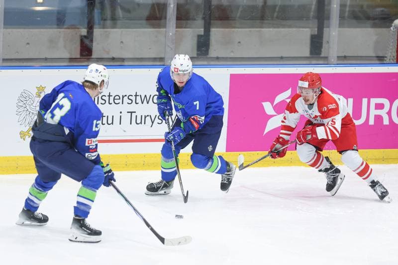 Ice Hockey. Friendly Match. Poland - Slovenia. 18.04.2024