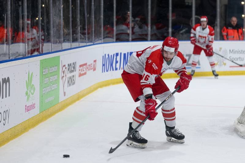 Ice Hockey. Friendly Match. Poland - Slovenia. 19.04.2024