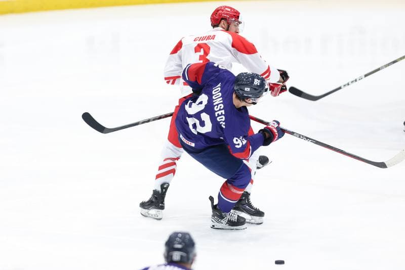 Ice Hockey. Friendly Match. Poland - South Korea. 05.02.2024