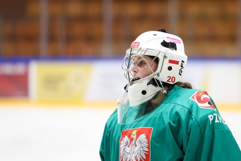 Ice Hockey. Poland national team. Training. 05.02.2024